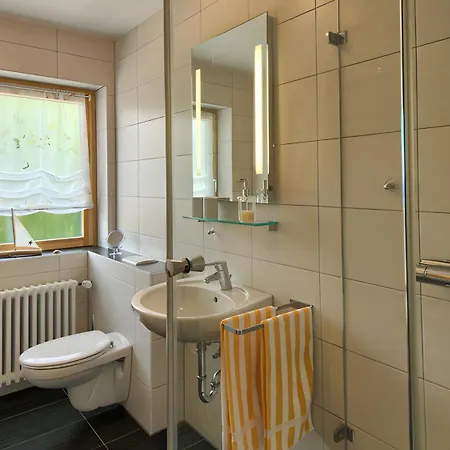 公寓 Haus Belchenherz - *