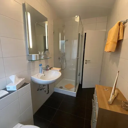 Haus Belchenherz - 公寓 *