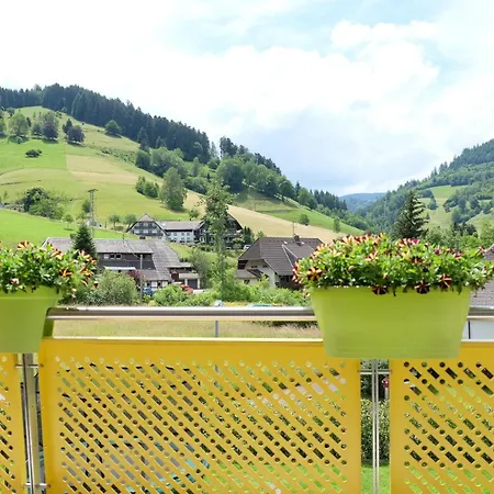 公寓 Haus Belchenherz -