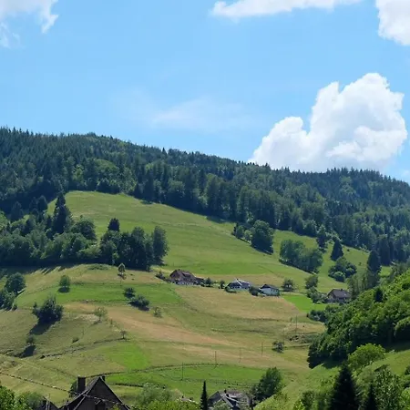 Haus Belchenherz - * 曼斯特陶