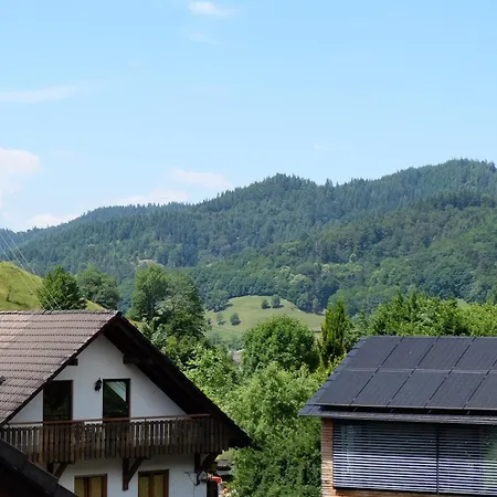 公寓 Haus Belchenherz - *