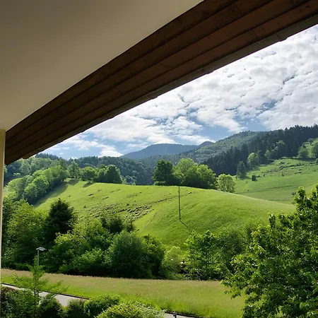Haus Belchenherz - 公寓 *